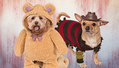 Halloween Hundekostüme