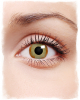 Zombi kontaktlinsen - Bewundern Sie dem Liebling der Redaktion