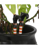 Witch Legs As Plant Pot Plug 10cm 