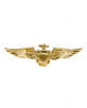 Gold Shiny pilots badge 