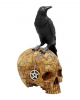 Salem Skull With Raven 