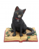 Schwarze Katze mit Hexenbuch 