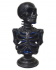Black Skeleton Torso On Base With Lighting 32cm 