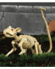 Skeleton Rat 20cm 