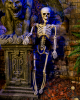 Skeleton Torso Hanging Figure 90cm 