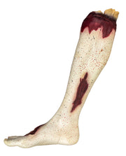 Chopped Off Autopsy Leg With Calf