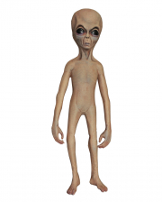Alien Body As Decoration Prop