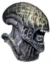 Alien Vs. Predator Mask 