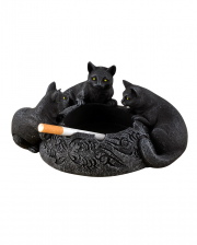 Ascher mit 3 Schwarzen Katzen 