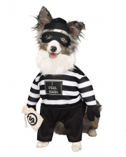 Bank Robber Costume For Dogs 