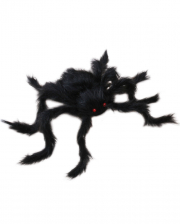 Hairy Horror Spider Black 
