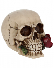 Beige Skull With Red Rose 15cm 
