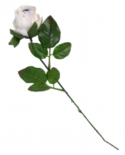 Blutige weiße Rose mit blauem Auge 42cm 