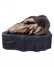 Dragon Skull Totenkopf Box 17,7cm 