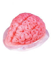 Brain pudding mold 