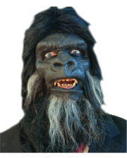 https://inst-2.cdn.shockers.de/hs_cdn/out/pictures/generated/product/1/180_224_100/gorilla_schaumlatex_applikation-affenmaske-gorilla_maske-tiermaske-16546.jpg