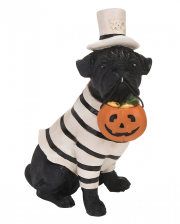 Halloween Pug With Pumpkin Bucket 13cm 
