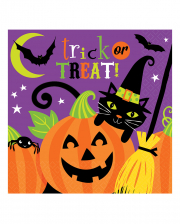 Halloween Napkins With Witch 16 Pc.