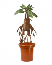 Harry Potter - Shrieking Mandrake In A Pot 