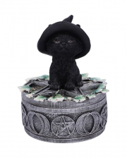 Witch Cat On Pentagram Box 15cm 