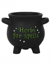 Witch Cauldron For Kitchen Herbs 