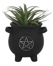 Witch Cauldron With Pentagram Plant Bowl 