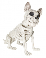 Sitting Skeleton Dog