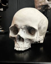 J. DOE Skull 17cm 