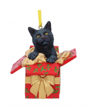 Katzen-Geschenk Weihnachtskugel 9cm 
