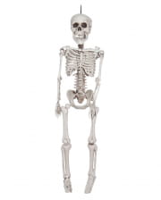 Skeleton Hanging Figure 30 Cm 