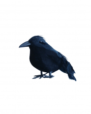 Small Black Raven 12 Cm 