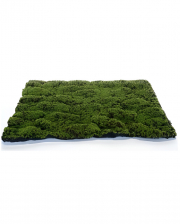 Artificial Moss Mat Green-brown 70x50cm 