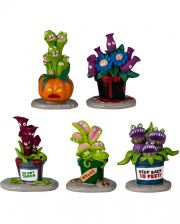 Lemax Spooky Town - Hungry Houseplant Horror 5 St. 