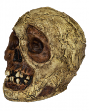 Mumien Totenkopf aus Latex 18cm 
