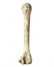 Stone Age bone 