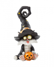 Hexen Katze mit Hexenhut und Kürbis 19 cm 