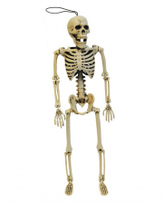 Positionierbares Skelett 35cm 