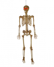 Positionierbares Skelett mit rot leuchtenden Augen 165cm 