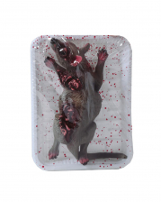 Ratte in Frischhaltefolie als Halloween Deko 