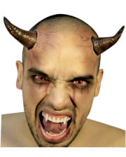 Satan's horns brown-black 