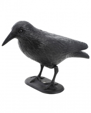 Life-size Crow Made Of Plastic 31cm 