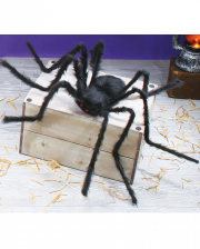 Black Monster Spider 