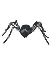 Schwarze Spinne mit Grauen Haaren 182cm Ø 