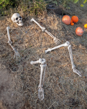 Skelett-Dekoration für den Garten 