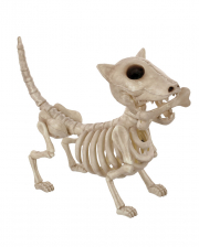 Skelett Hund mit Knochen 27cm 