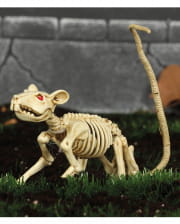 Skelett Ratte 20cm 