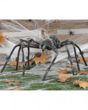 Skeletonized Spider 125cm