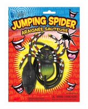 Jumping Spider Joke Article 