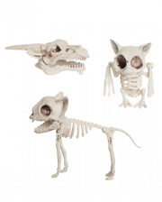 Animal Skeletons In Net 3 Pcs. 