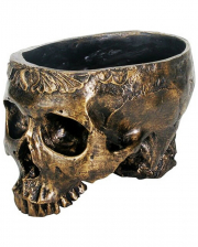 Skull Plant Bowl Gold 